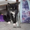 Croissant - Photo 9