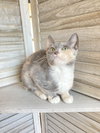 Sweetie - Photo 3