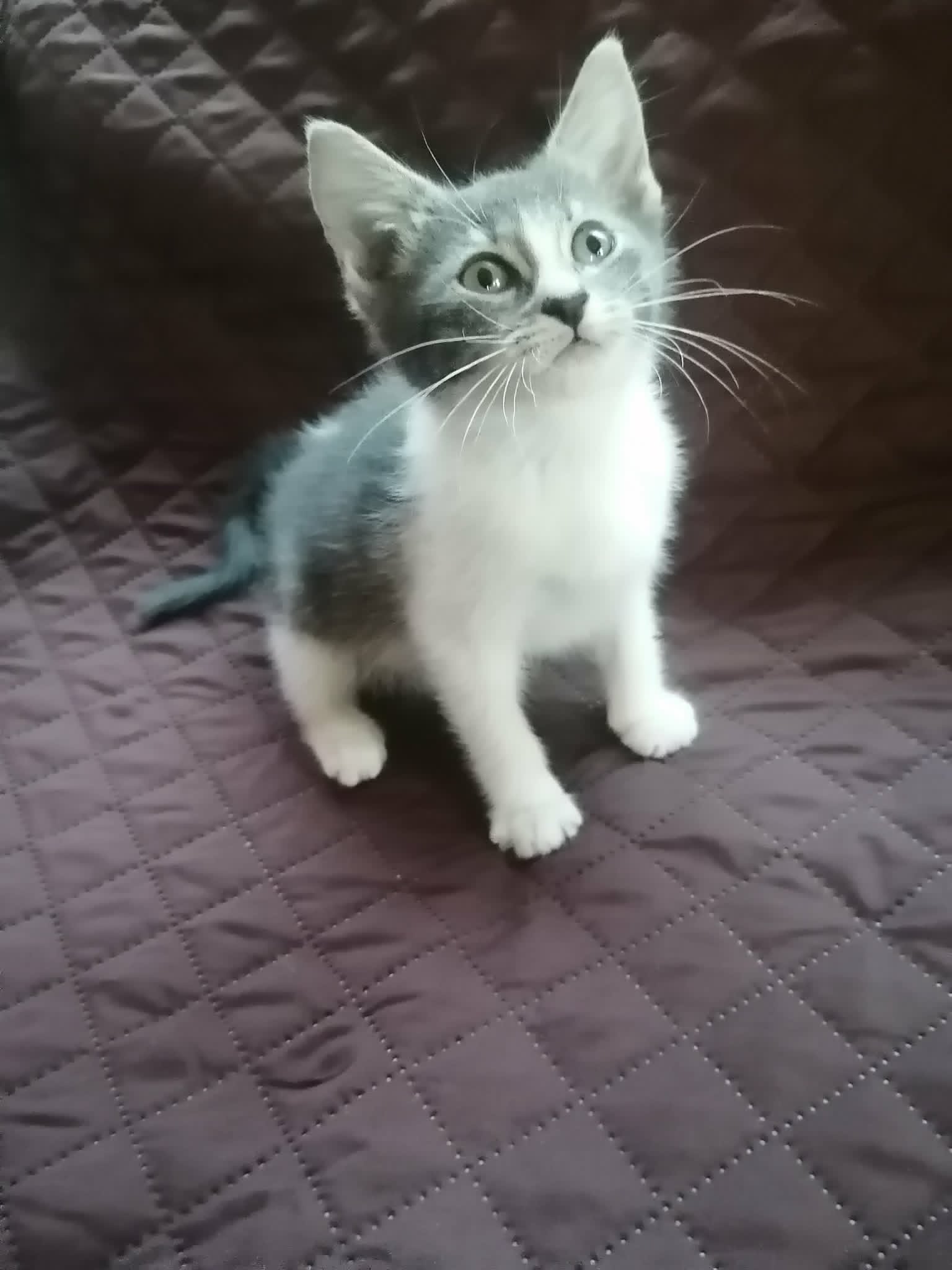 Sally