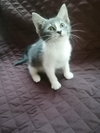 Sally - Photo 4