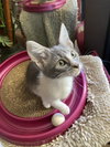 Sally - Photo 6