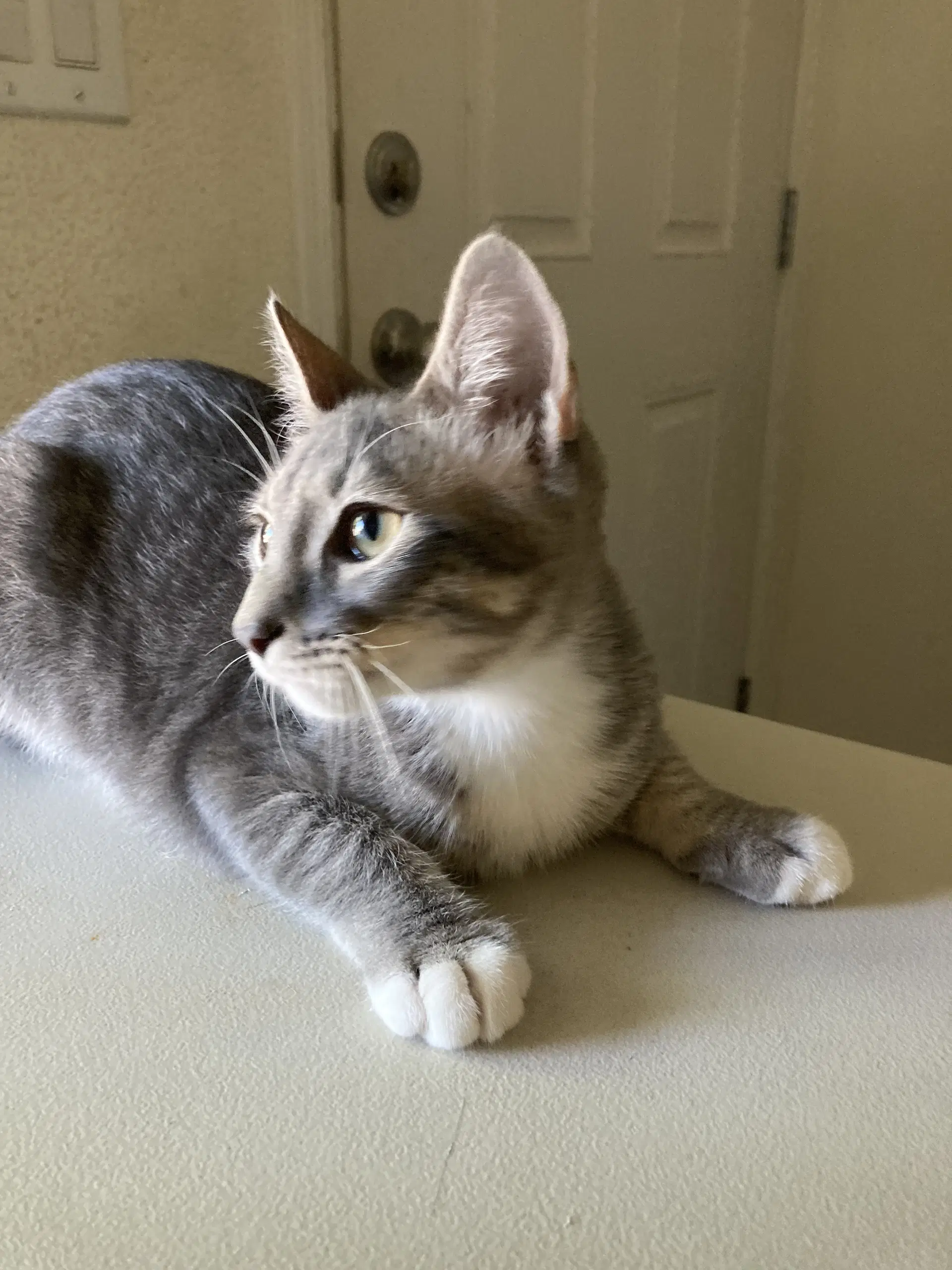 Max image 3