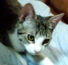 Penelope