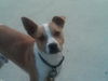 Billy