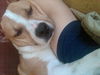 Billy