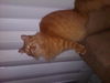 Big Red