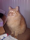 Big Red
