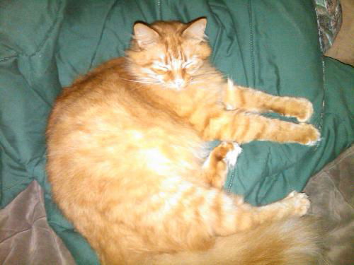 Big Red