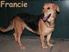 Francine