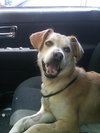 Mugsy