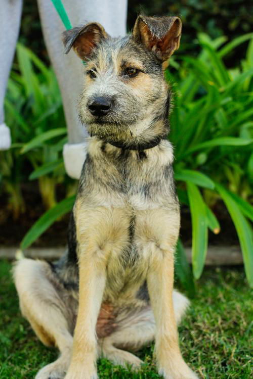 Frida