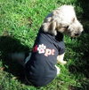 Mylo