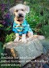 Mylo
