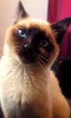 Mitsy