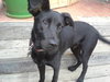 Athos