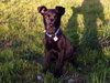Athos