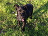 Athos
