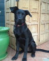 Athos