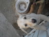 Sunny