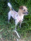 Blythe