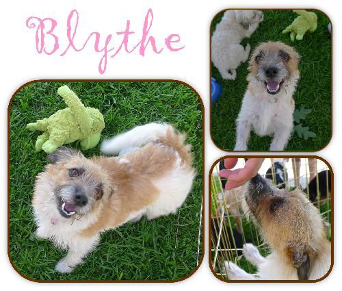 Blythe