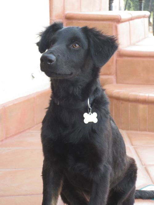 Bindi