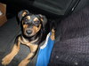 Molly