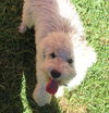 Bobby