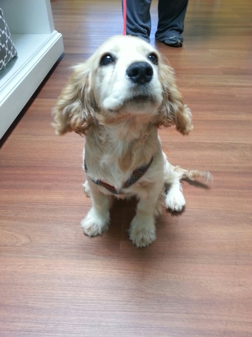 Molly