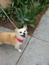 Minny