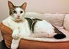 Frannie