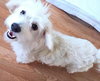 Mollie