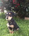 Susy