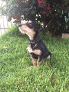 Susy