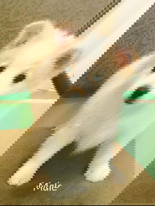 Peter
