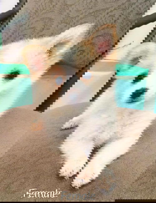 Jan