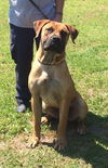 Odin (very thin!)