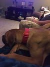 Odin (very thin!)