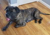 Lovely Lola!!