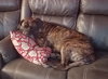 Lovely Lola!!