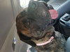 Lovely Lola!!