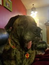 Lovely Lola!!