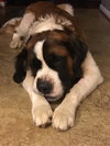 Charlie