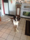 Charlie