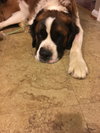 Charlie
