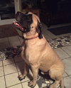 Charles/aka Charlie