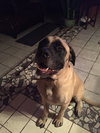 Charles/aka Charlie