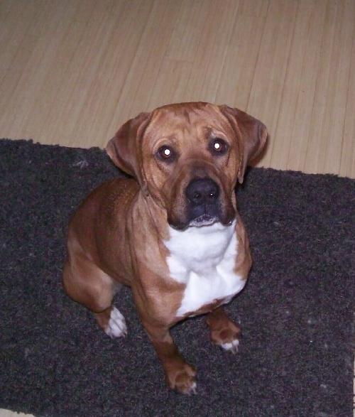 Lucy