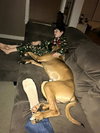 Ryker (Goofy boy)