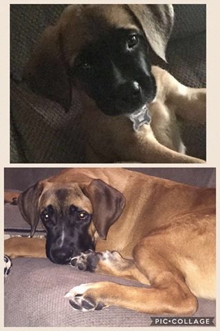 Lilly